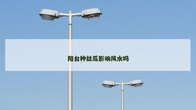 阳台种丝瓜影响风水吗