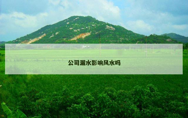 公司漏水影响风水吗
