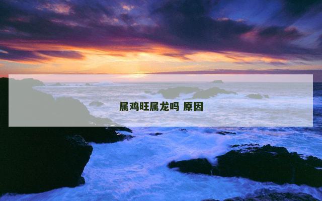 属鸡旺属龙吗 原因
