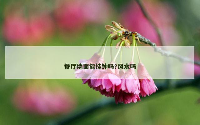 餐厅墙面能挂钟吗?风水吗