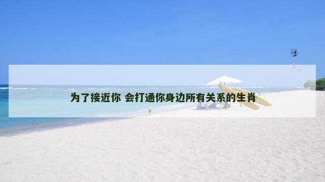 为了接近你 会打通你身边所有关系的生肖