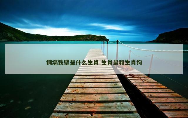 铜墙铁壁是什么生肖 生肖鼠和生肖狗