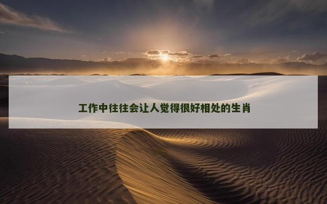 工作中往往会让人觉得很好相处的生肖