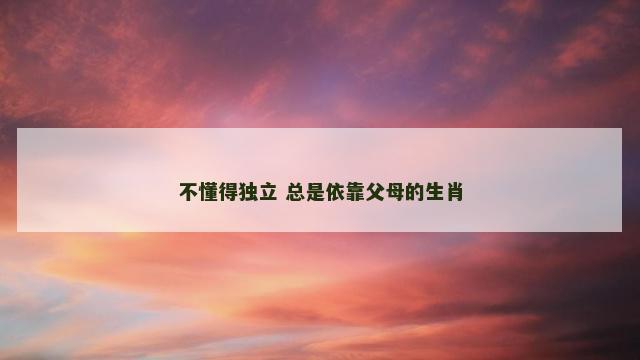 不懂得独立 总是依靠父母的生肖