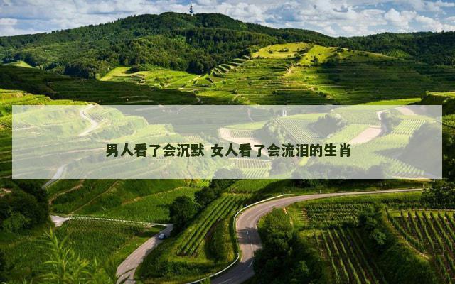 男人看了会沉默 女人看了会流泪的生肖