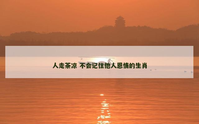 人走茶凉 不会记住他人恩情的生肖