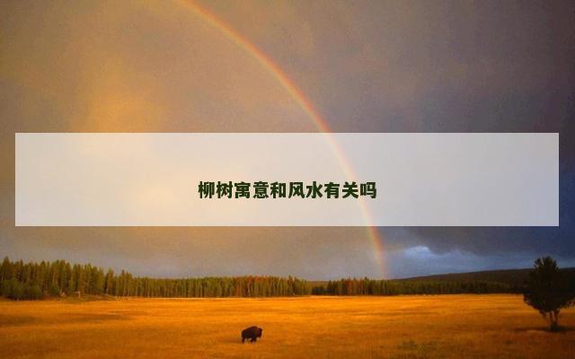 柳树寓意和风水有关吗