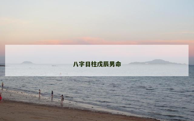 八字日柱戊辰男命