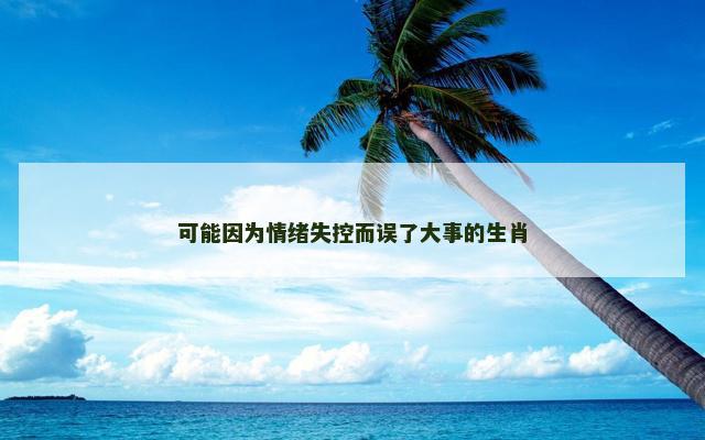 可能因为情绪失控而误了大事的生肖