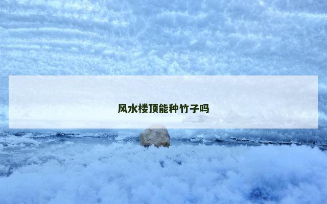 风水楼顶能种竹子吗