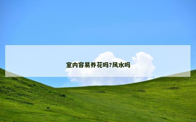 室内容易养花吗?风水吗