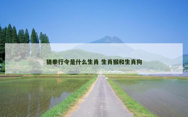 猜拳行令是什么生肖 生肖猴和生肖狗
