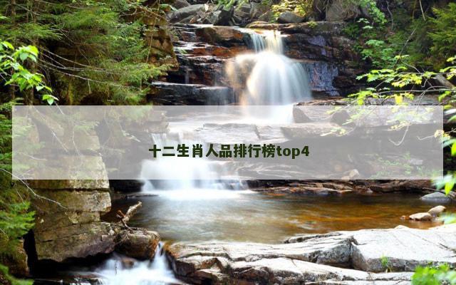 十二生肖人品排行榜top4