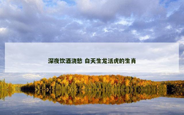 深夜饮酒浇愁 白天生龙活虎的生肖