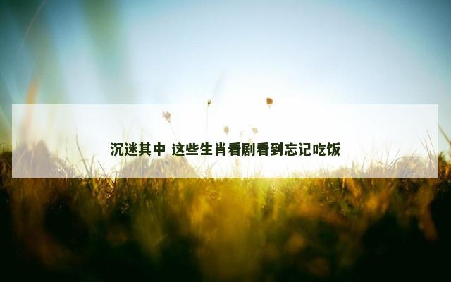 沉迷其中 这些生肖看剧看到忘记吃饭