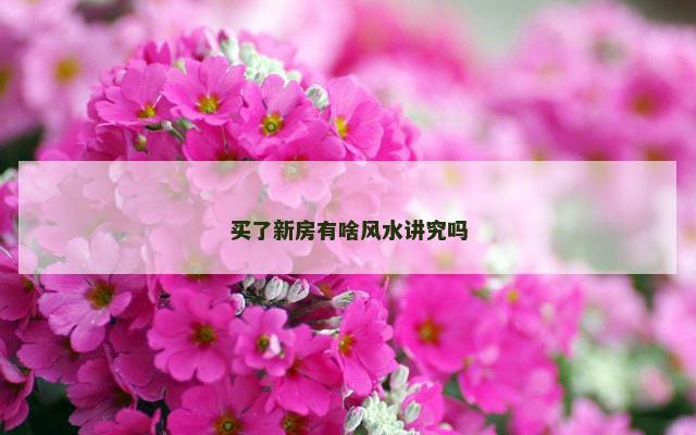 买了新房有啥风水讲究吗