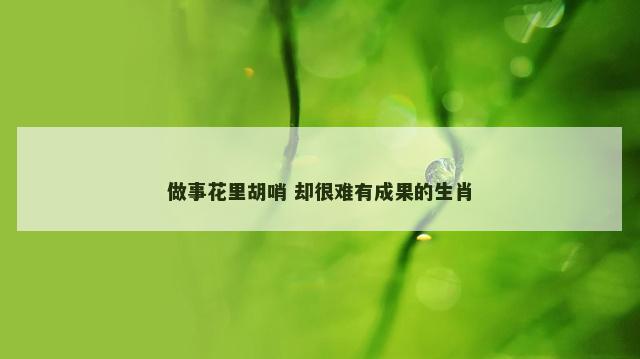 做事花里胡哨 却很难有成果的生肖