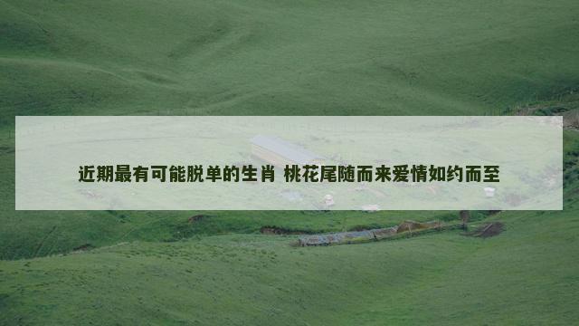 近期最有可能脱单的生肖 桃花尾随而来爱情如约而至