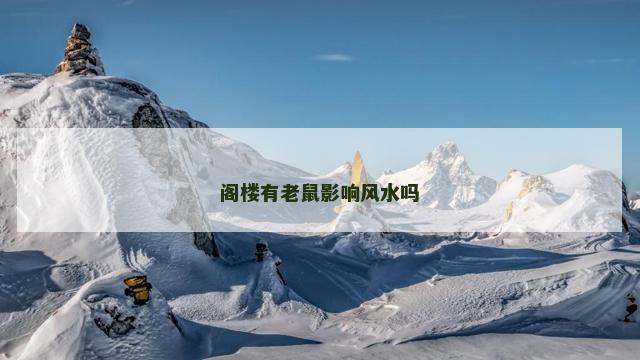 阁楼有老鼠影响风水吗