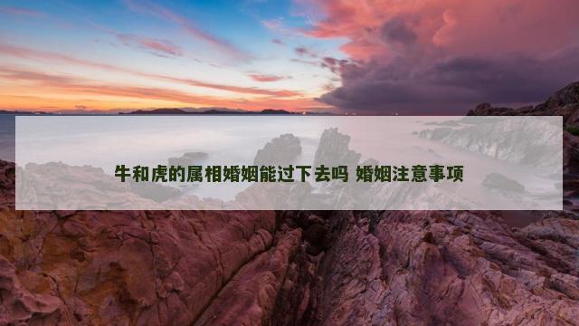 牛和虎的属相婚姻能过下去吗 婚姻注意事项