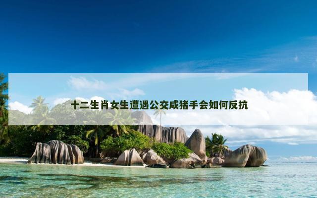 十二生肖女生遭遇公交咸猪手会如何反抗
