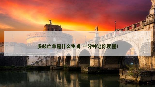 多歧亡羊是什么生肖 一分钟让你读懂！