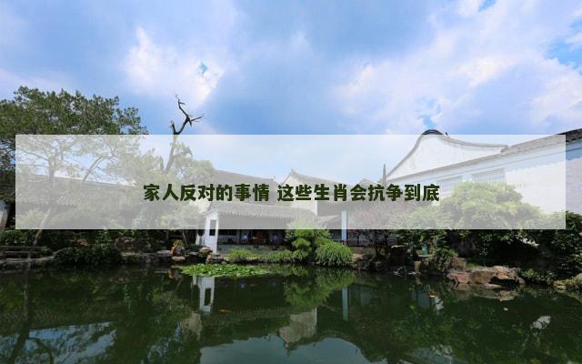 家人反对的事情 这些生肖会抗争到底