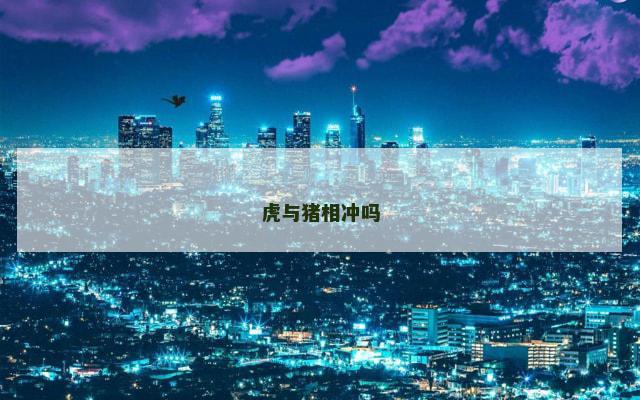 虎与猪相冲吗