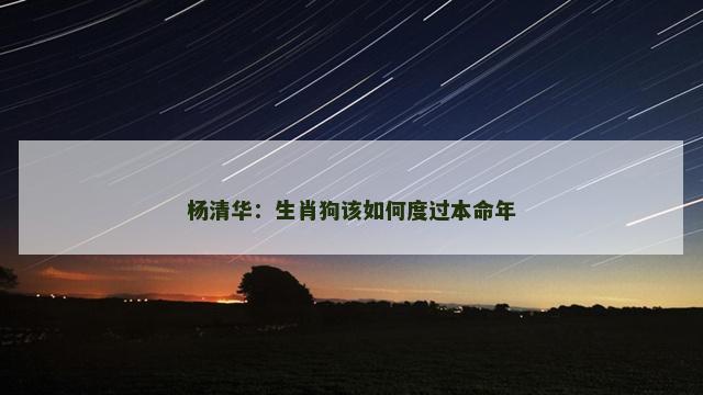杨清华：生肖狗该如何度过本命年