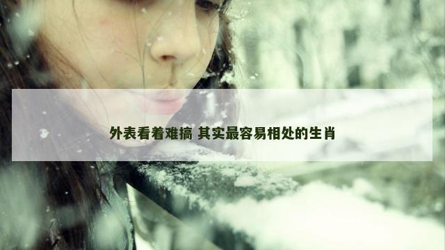 外表看着难搞 其实最容易相处的生肖