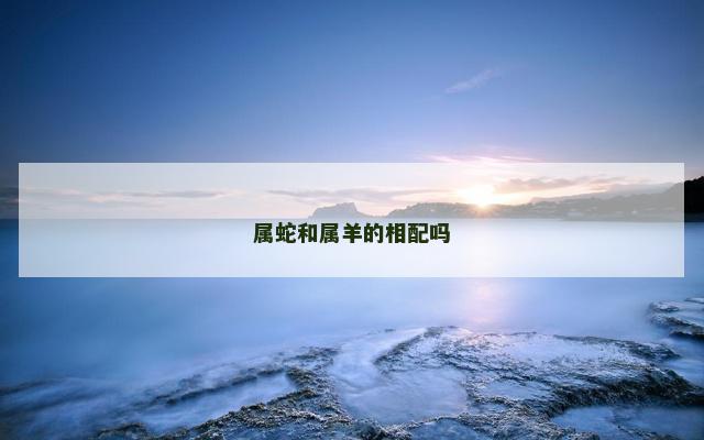 属蛇和属羊的相配吗
