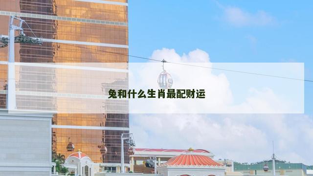 兔和什么生肖最配财运