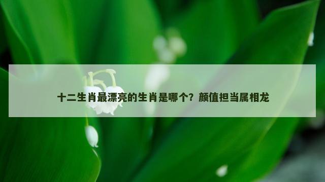 十二生肖最漂亮的生肖是哪个？颜值担当属相龙