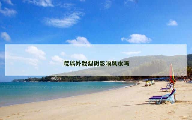 院墙外栽梨树影响风水吗