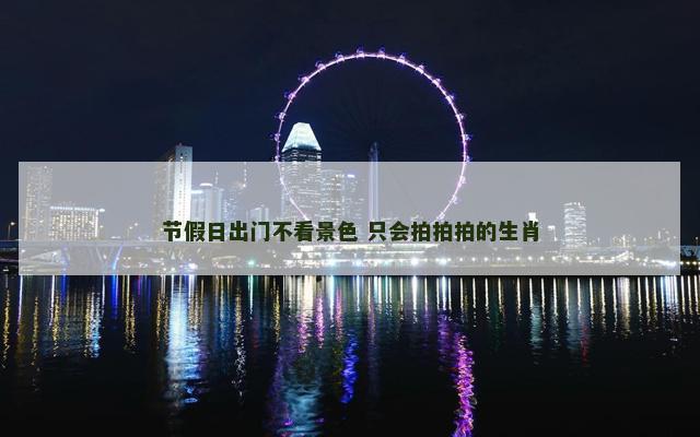 节假日出门不看景色 只会拍拍拍的生肖