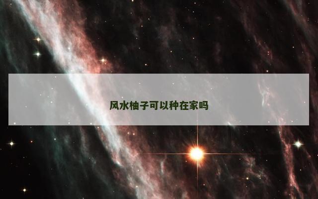 风水柚子可以种在家吗
