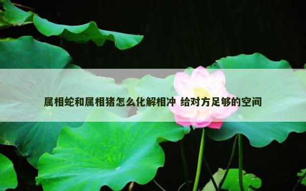 属相蛇和属相猪怎么化解相冲 给对方足够的空间