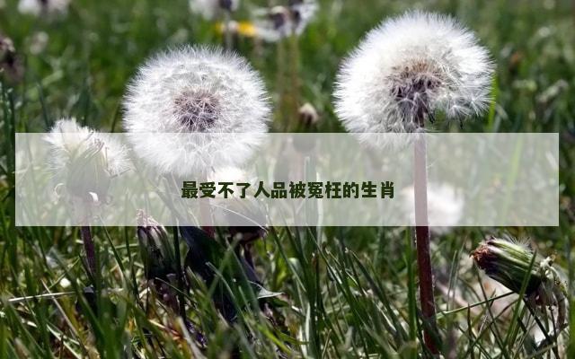 最受不了人品被冤枉的生肖