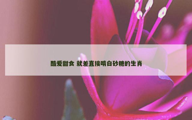 酷爱甜食 就差直接啃白砂糖的生肖