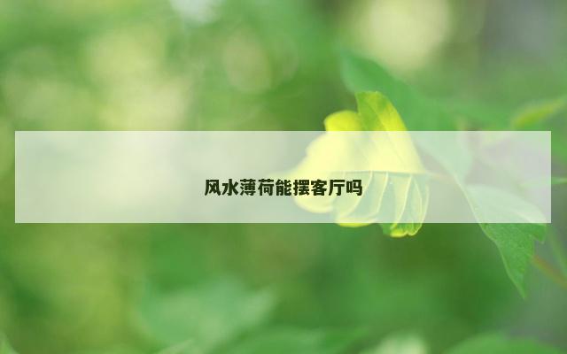 风水薄荷能摆客厅吗