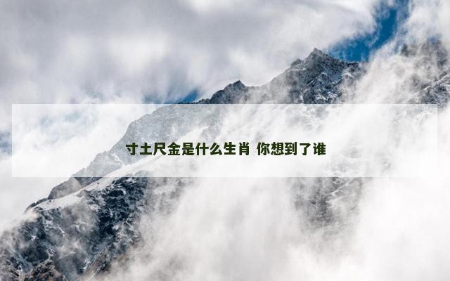 寸土尺金是什么生肖 你想到了谁