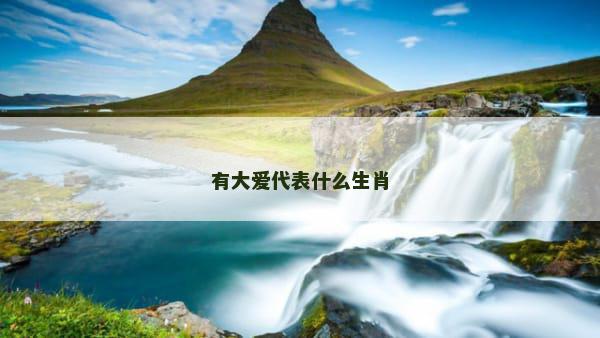 有大爱代表什么生肖