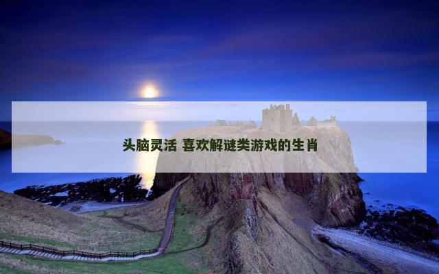 头脑灵活 喜欢解谜类游戏的生肖