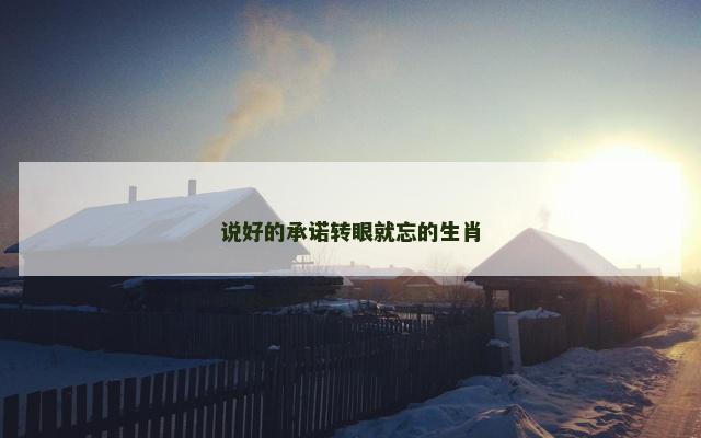 说好的承诺转眼就忘的生肖
