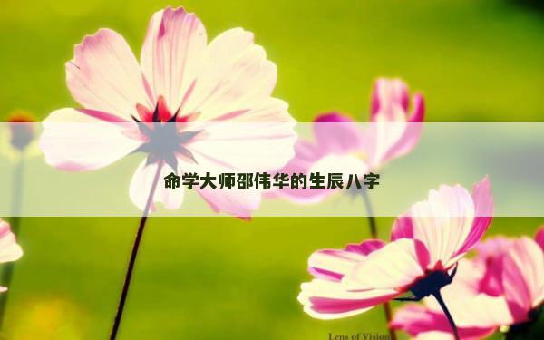 命学大师邵伟华的生辰八字