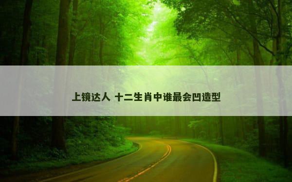 上镜达人 十二生肖中谁最会凹造型
