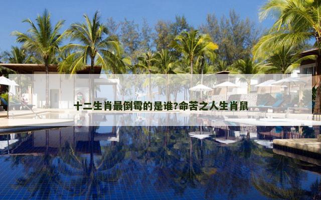 十二生肖最倒霉的是谁?命苦之人生肖鼠