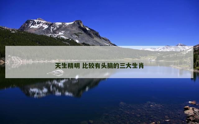 天生精明 比较有头脑的三大生肖