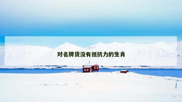 对名牌货没有抵抗力的生肖