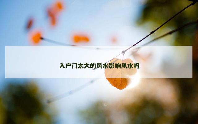 入户门太大的风水影响风水吗